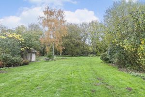 Photo 9- click for photo gallery